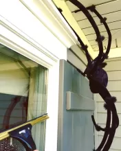 West Michigan's window cleaner - TallBoys